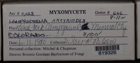 Image Associated With the Occurence